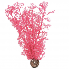 Розовый морской веер, средний, Sea fan medium pink