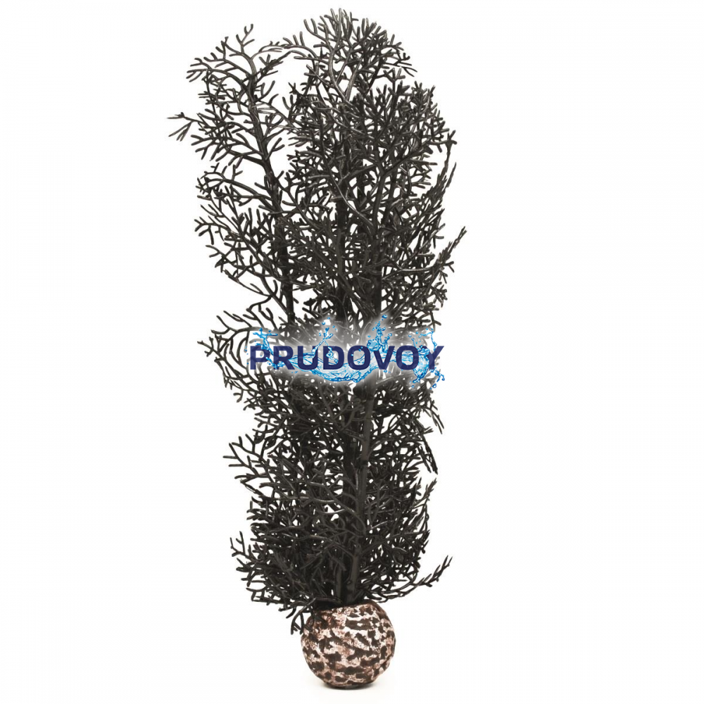 Черный морской веер, средний, Sea fan medium black