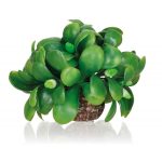 Омела шар, biOrb mistletoe ball