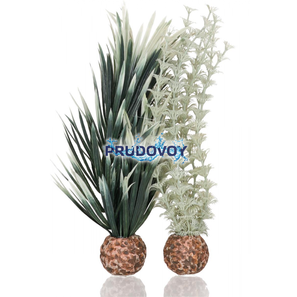 Набор, низкий "Амбулия серая/зеленая", biOrb ambulia grey/green S