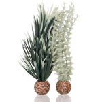 Набор, низкий "Амбулия серая/зеленая", biOrb ambulia grey/green S