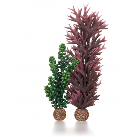 Набор декор. растений "Морской бисер и оливковая ламинария","Seapearls & kelp olive green"