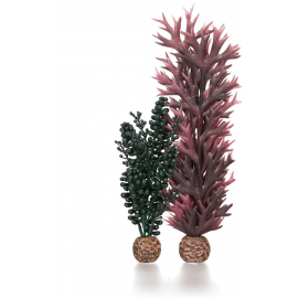 Набор декор. растений "Морской бисер и темнозеленая ламинария","Seapearls & kelp dark green" 