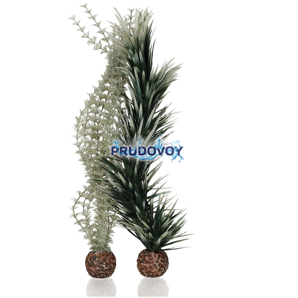 Набор, высокий "Амбулия серая/зеленая", biOrb ambulia grey/green L