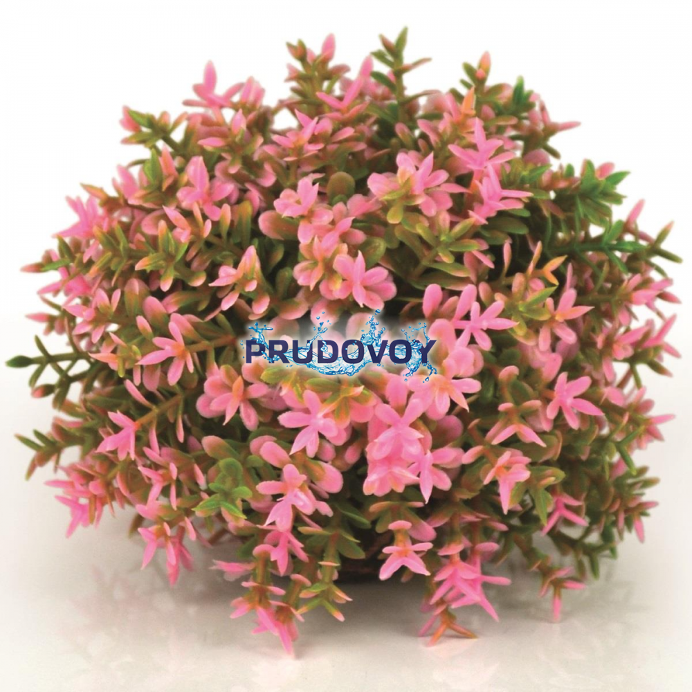 Розовый цветочный шар, Flower ball pink