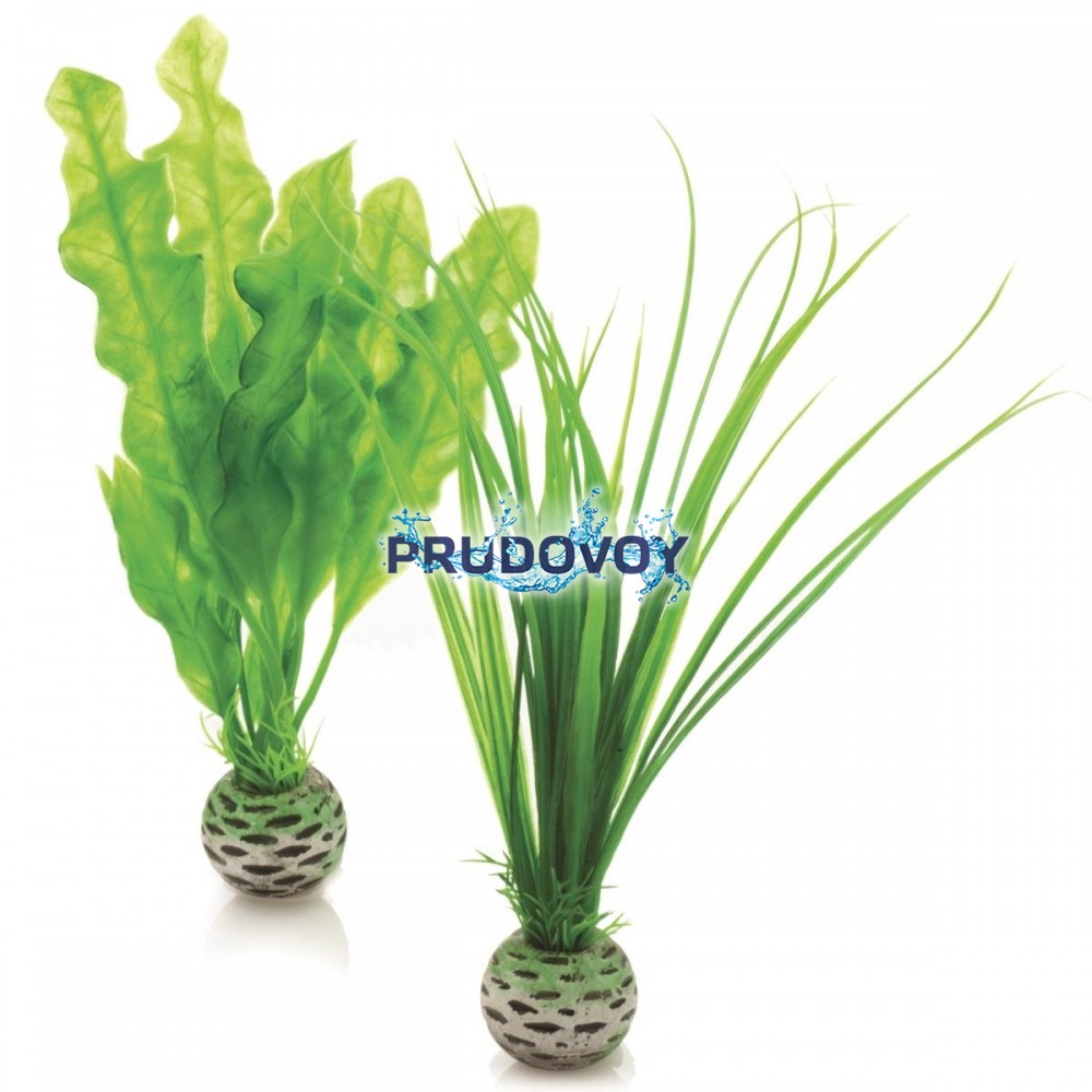 Набор "Малые, зеленые растения" Easy plant set small green