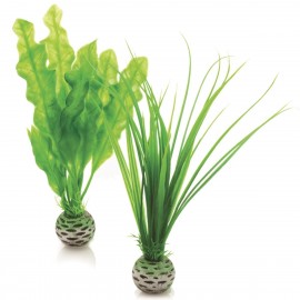 Набор "Малые, зеленые растения" Easy plant set small green
