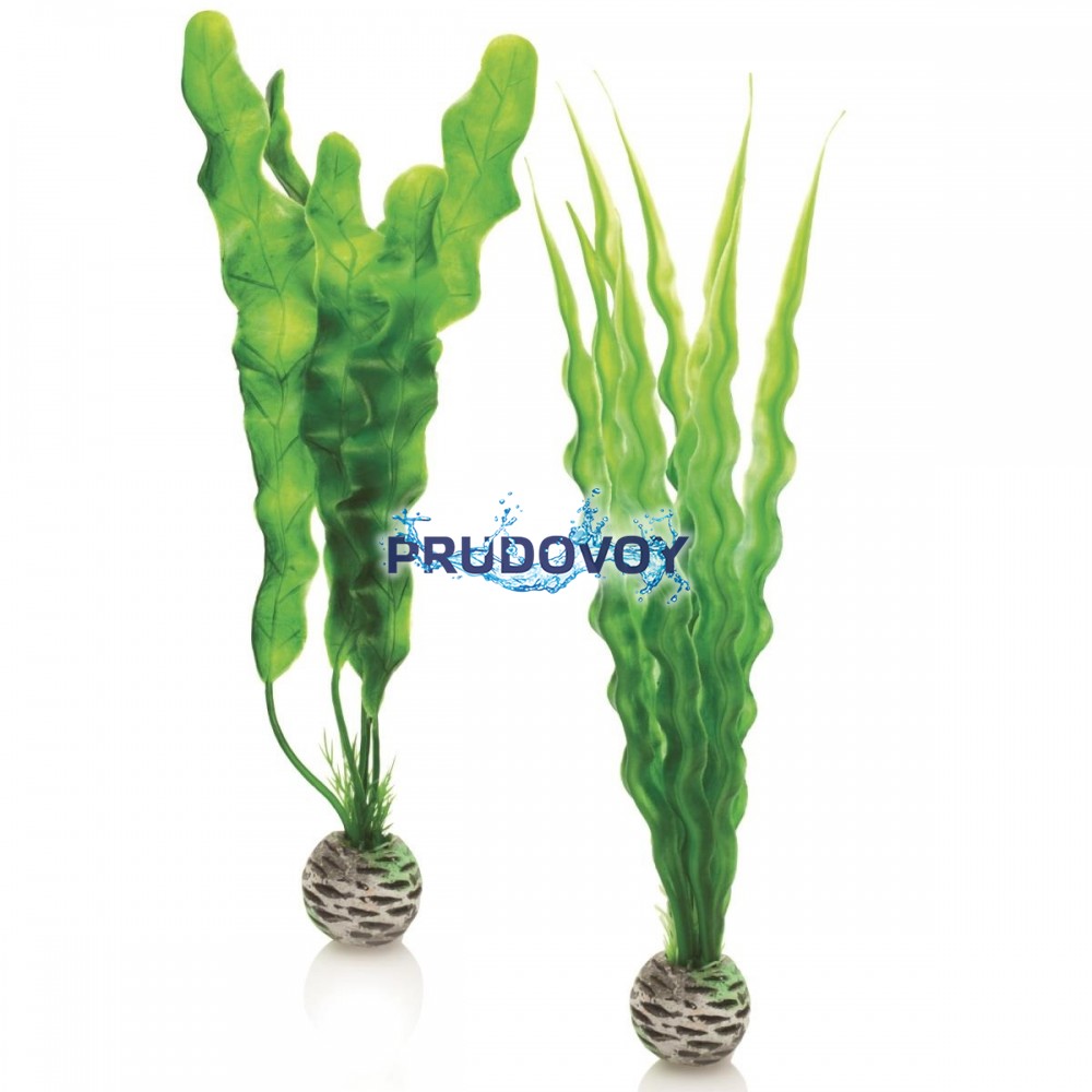 Набор "Средние, зеленые растения" Easy plan set medium green 