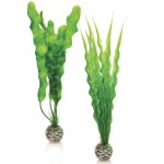 Набор "Средние, зеленые растения" Easy plan set medium green 