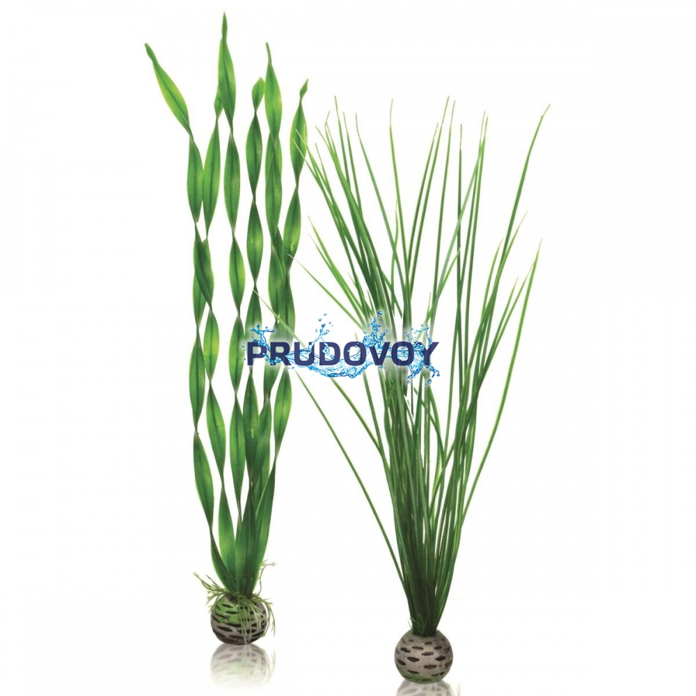 Набор "Высокие, зеленые растения" Easy plant set tall green 