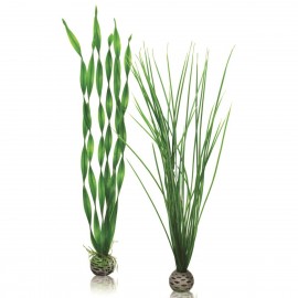 Набор "Высокие, зеленые растения" Easy plant set tall green 