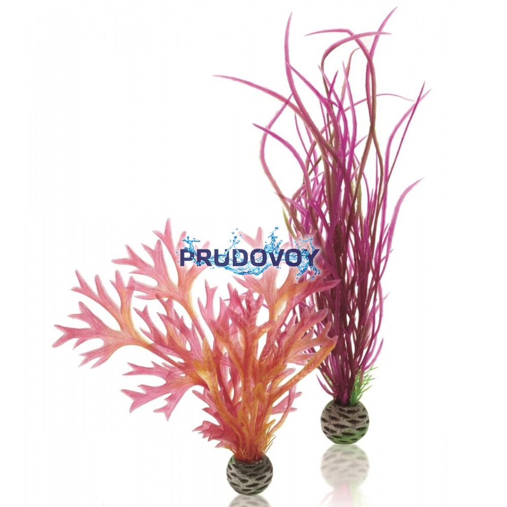 Набор декор. растений "Plant set medium red & pink" 