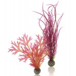 Набор декор. растений "Plant set medium red & pink" 