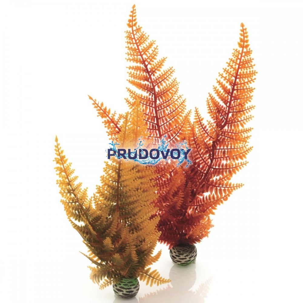 Набор декор. растений "Осенний папоротник" Aquatic autumn fern set 2 