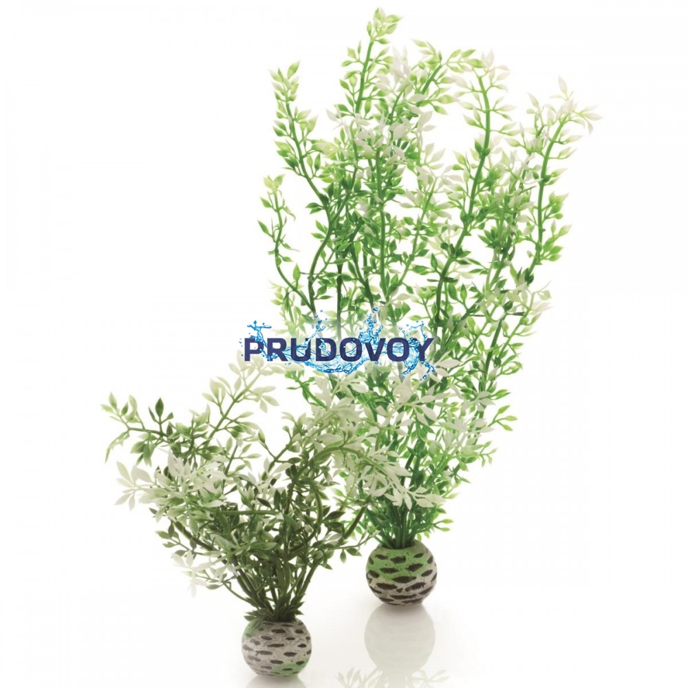 Набор декор. растений "Зимний цветок" Aquatic winter flower set 2