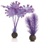 Набор "Малая фиолетовая ламинария", Kelp set small purple