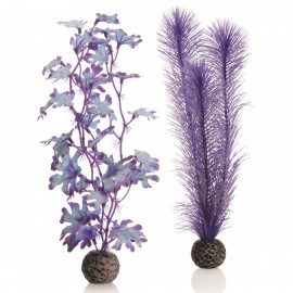 Набор "Средняя фиолетовая ламинария", Kelp set medium purple 