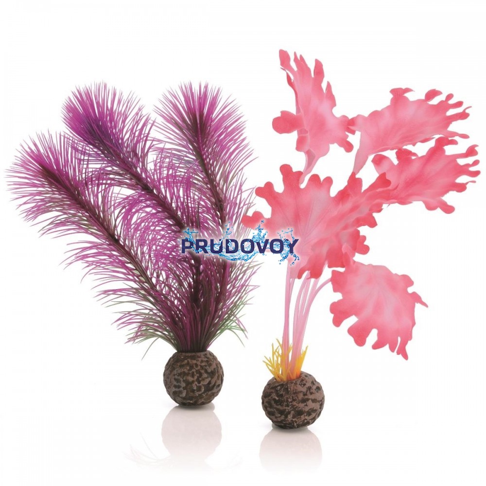 Набор "Малая розовая ламинария", Kelp set small pink 