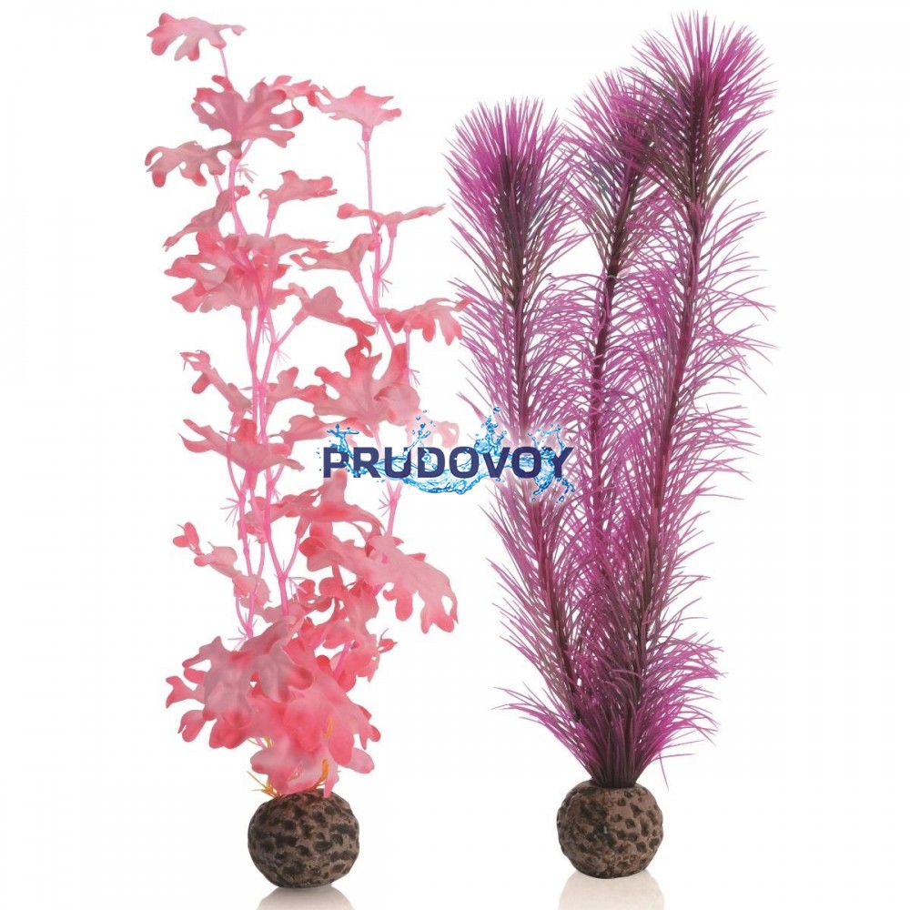 Набор "Средняя розовая ламинария", Kelp set medium pink 