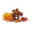 Готовый декоративный комплект для аквариума  biOrb Decor Set 15L Autumn