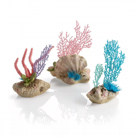 Набор декор. элементов "Коралловый веер и ракушки", Coral fans & shells set