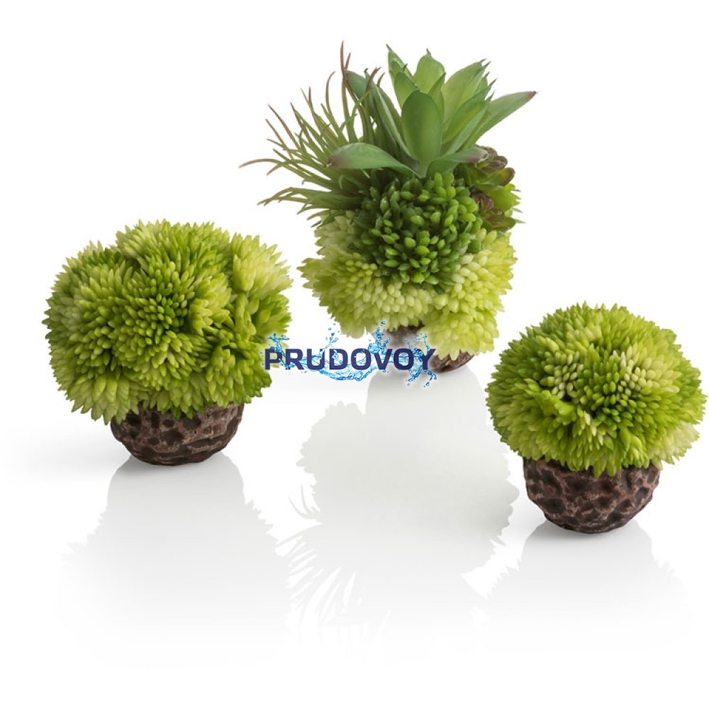 Набор из 3-х зеленых коралловых шаров, Coral ball set green