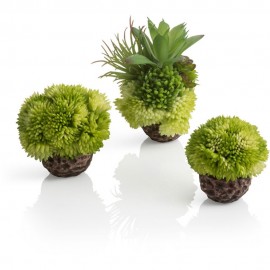 Набор из 3-х зеленых коралловых шаров, Coral ball set green