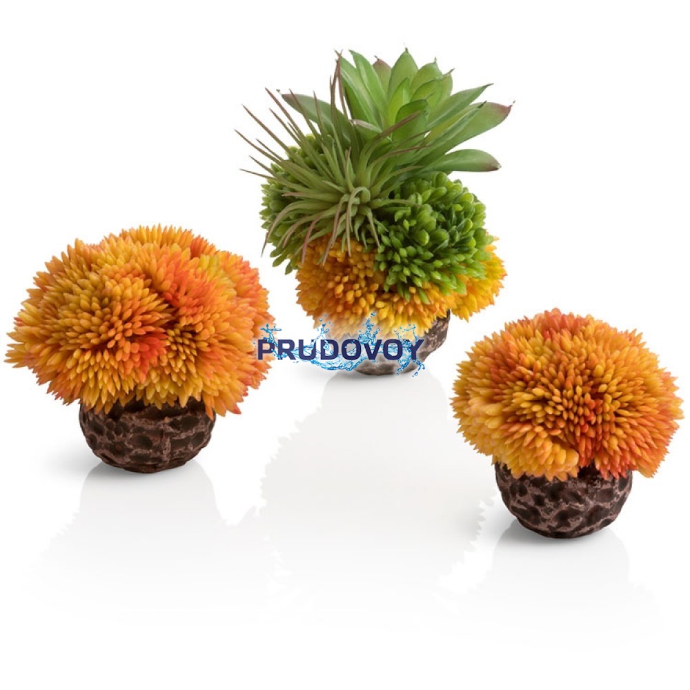 Набор из 3-х оранжевых коралловых шаров, Coral ball set orange