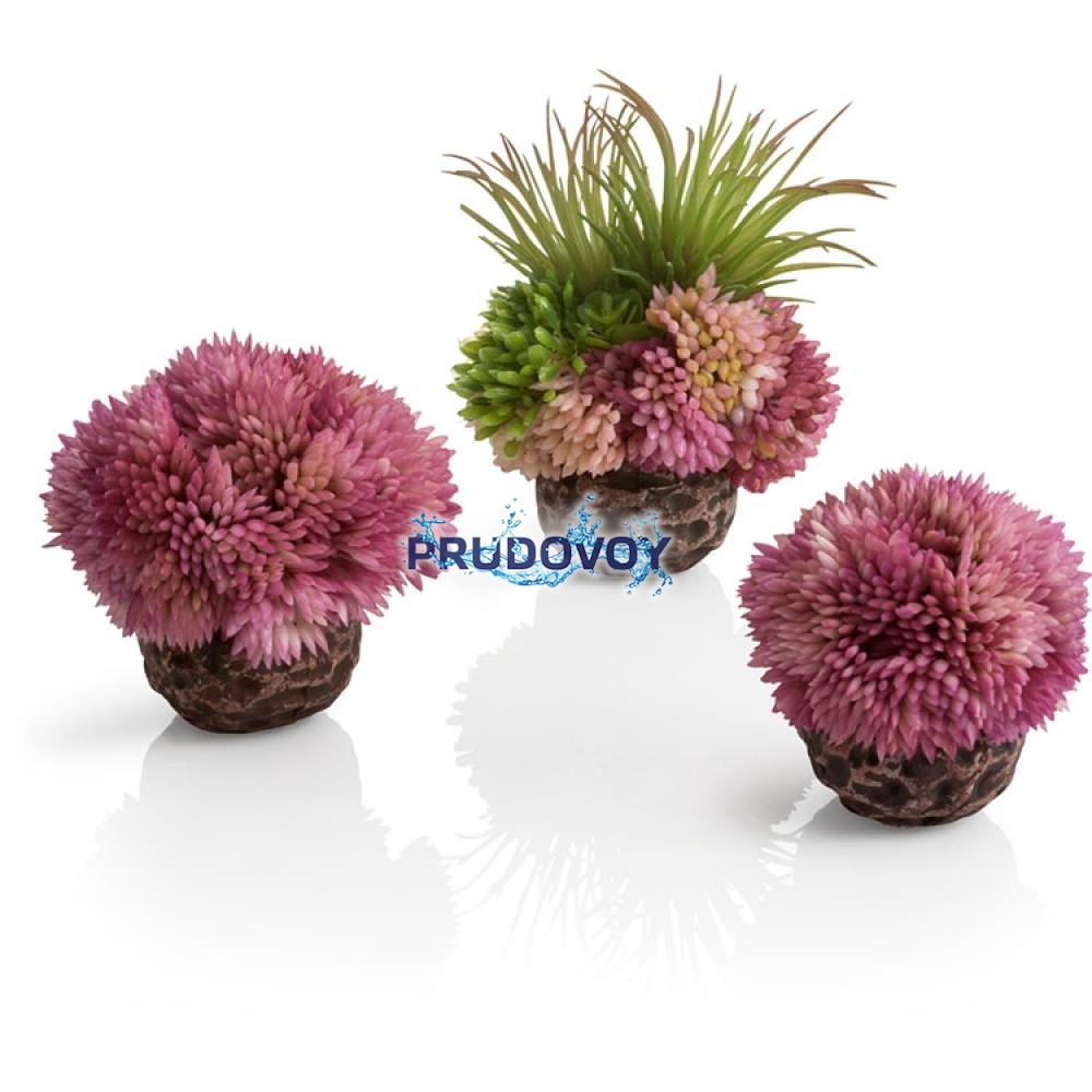 Набор из 3-х фиолетовых коралловых шаров, Coral ball set purple