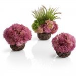 Набор из 3-х фиолетовых коралловых шаров, Coral ball set purple