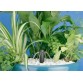 Jebao JFP-25000 насос для пруда Jebao JFP-25000 насос для пруда