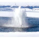 Насадка Winter Scepter Nozzle Floating Display Aerator
