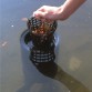Tele Skimmer 200 (стационарный) Tele Skimmer 200 (стационарный)