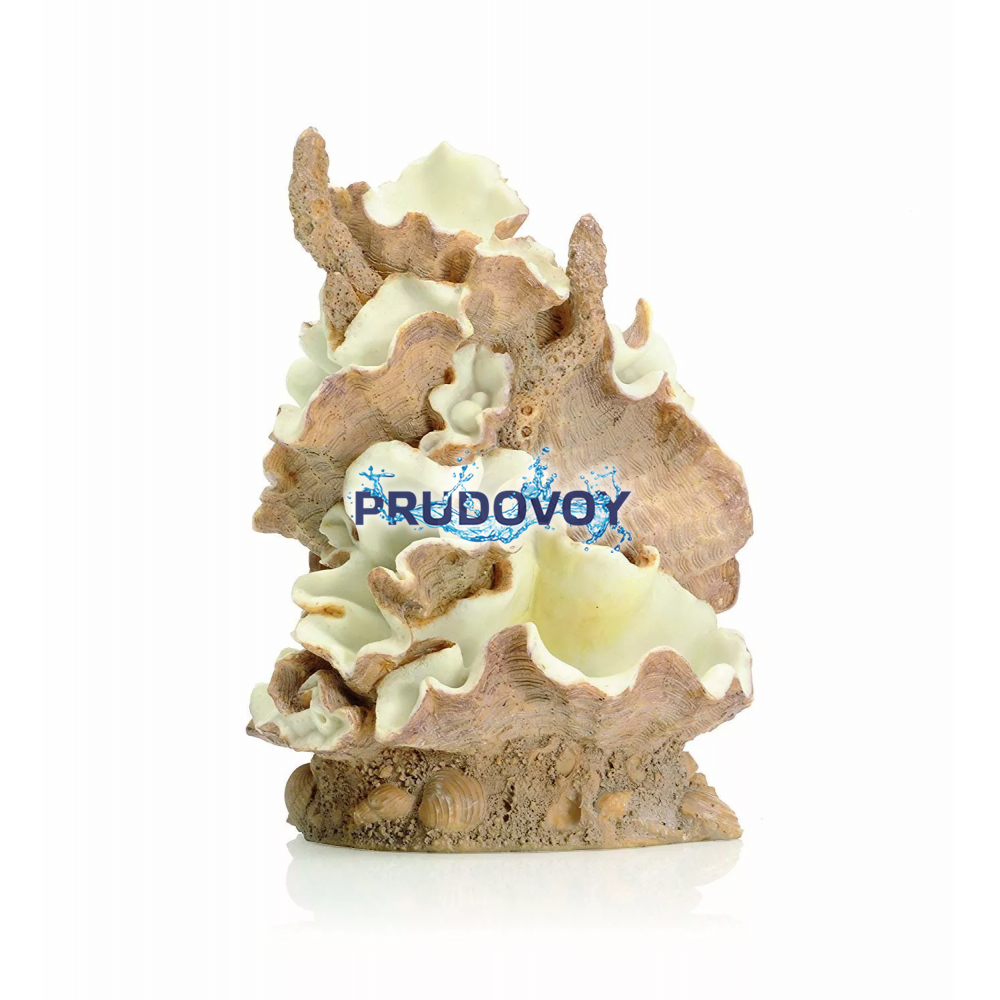 Орнамент из ракушек, средний Clamshell ornament medium