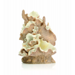 Орнамент из ракушек, средний Clamshell ornament medium