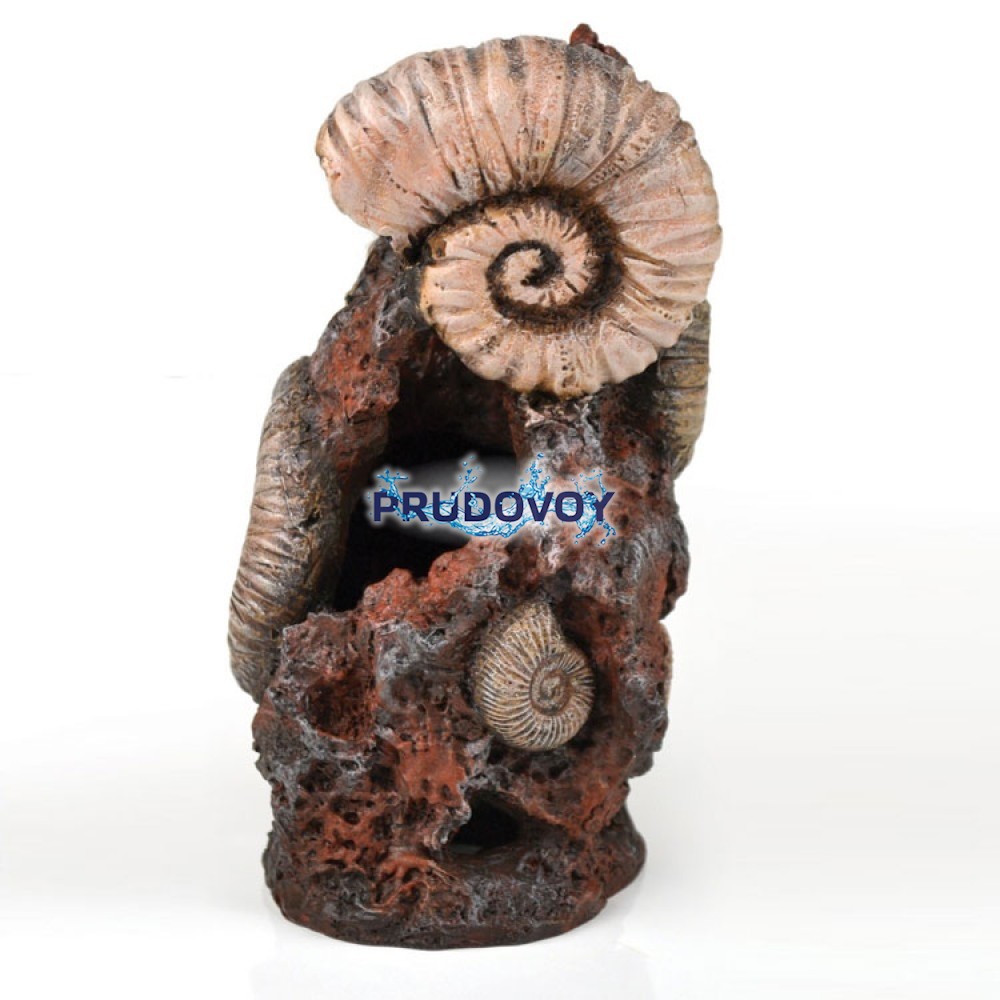 Декоративная фигура "Старая раковина", Ornament ancient conch