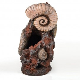 Декоративная фигура "Старая раковина", Ornament ancient conch