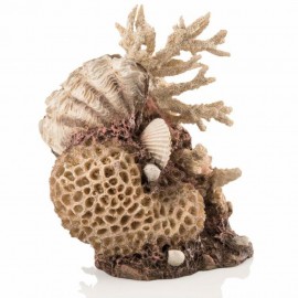 Декоративная фигура "Коралловые ракушки", coral-shells ornament natural