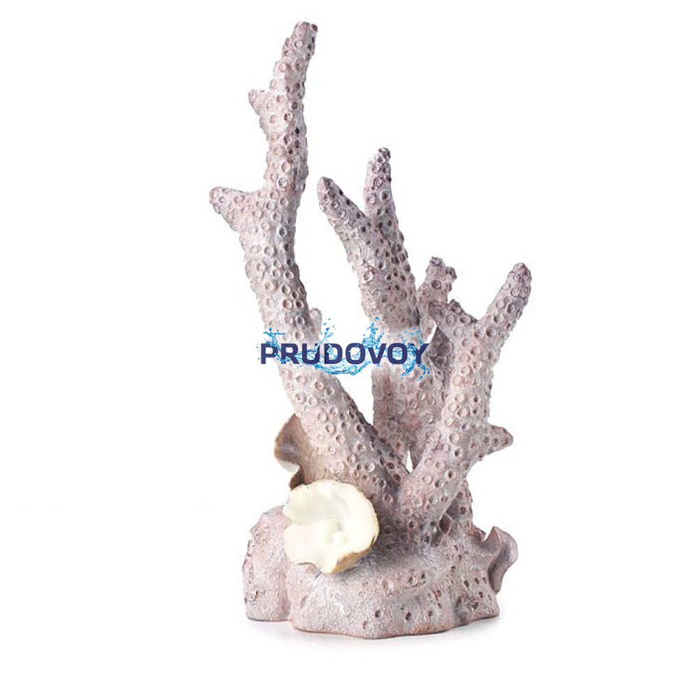 Коралл большой, Coral ornament large