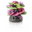 Декоративная фигура "Коралловый гребень", coral ridge ornament green-purple