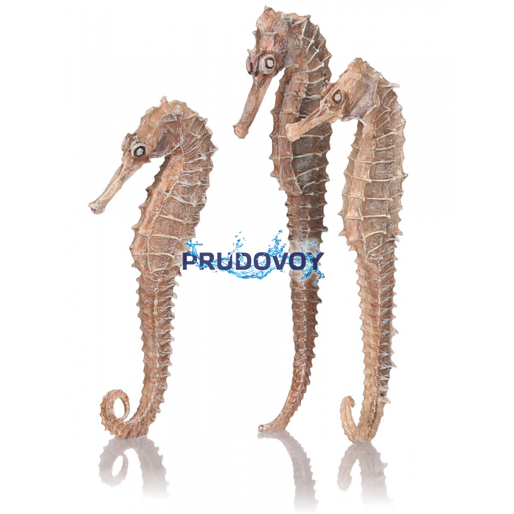 Набор из 3-х морских коньков seahorse 3 pack natural