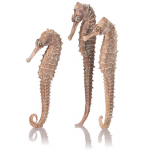 Набор из 3-х морских коньков seahorse 3 pack natural